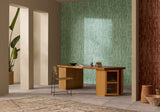 ASTERE - SAMIR MAZER