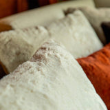 WINTER BABY, WINTER & WINTER SQUARE