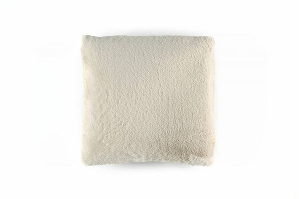 WINTER BABY, WINTER & WINTER SQUARE